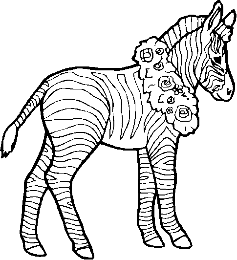 Zebra Coloring Pages 4
